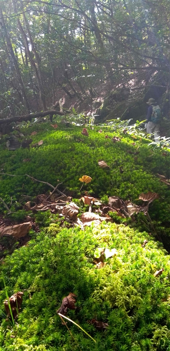 シニアの学び 令和の会だより