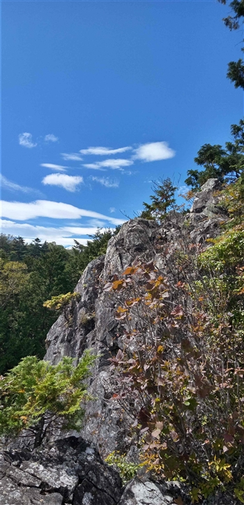 シニアの学び 令和の会だより
