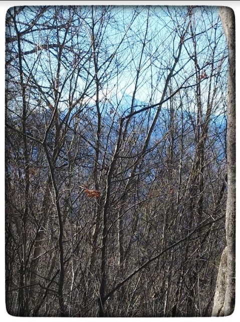 シニアの学び 令和の会だより